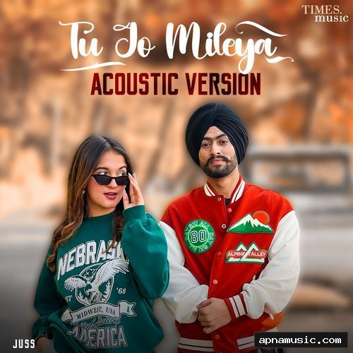 Tu Jo Mileya (Acoustic Version)