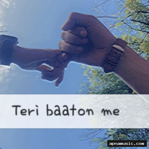 Teri baaton me by Nishu Nagra, Kesar - Album Cover