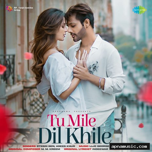 Tu Mile Dil Khile